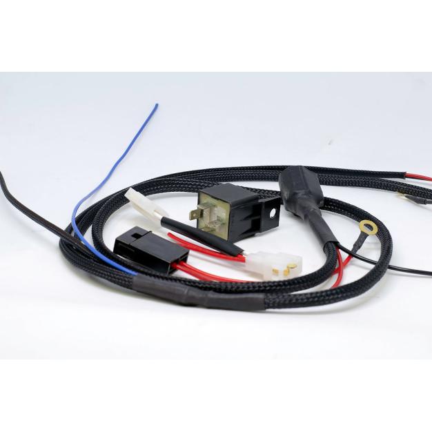 WIRING HARNESS FOR REGULUS SERIES - 10S / 20S / 40S